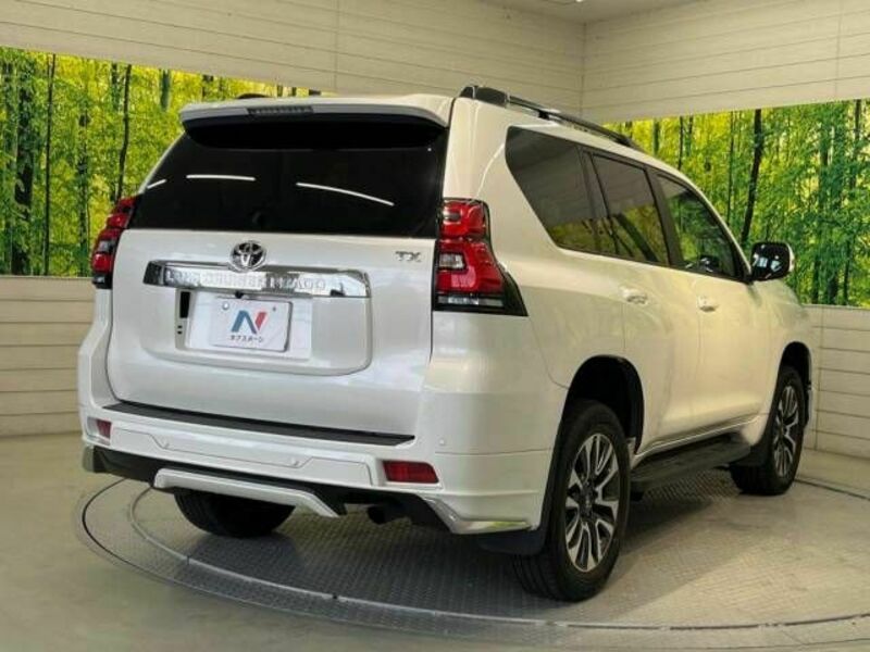 LAND CRUISER PRADO-17