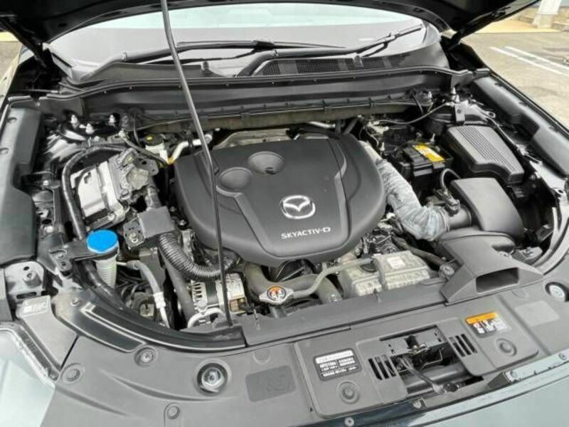 CX-5-17
