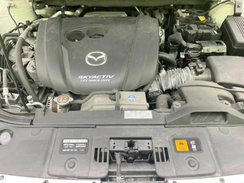 CX-5-18