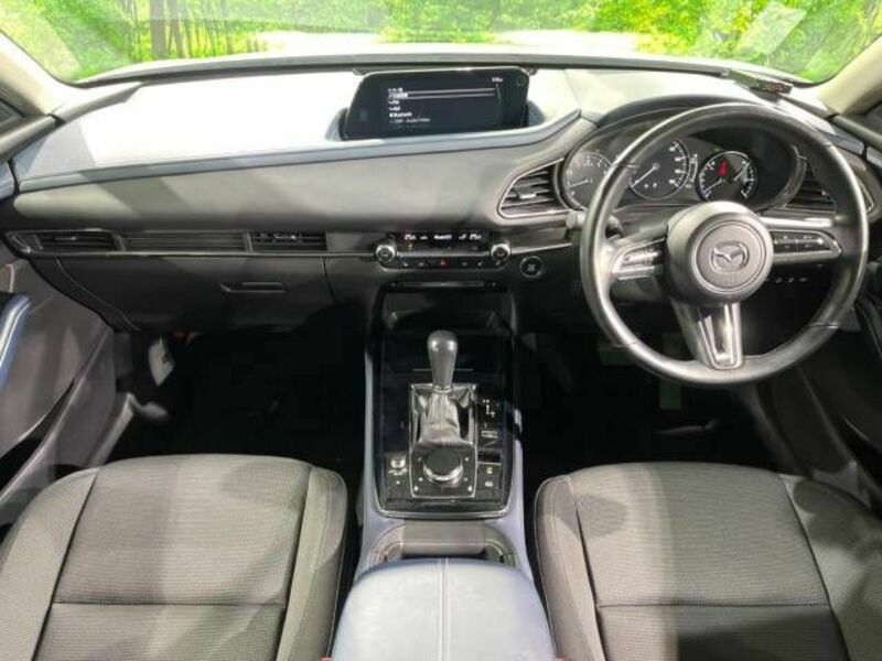 CX-30-1