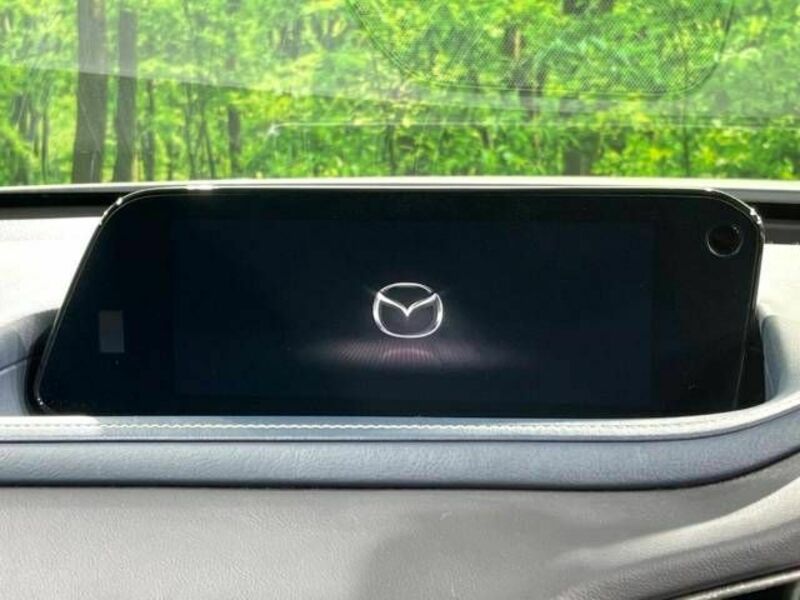CX-30-3