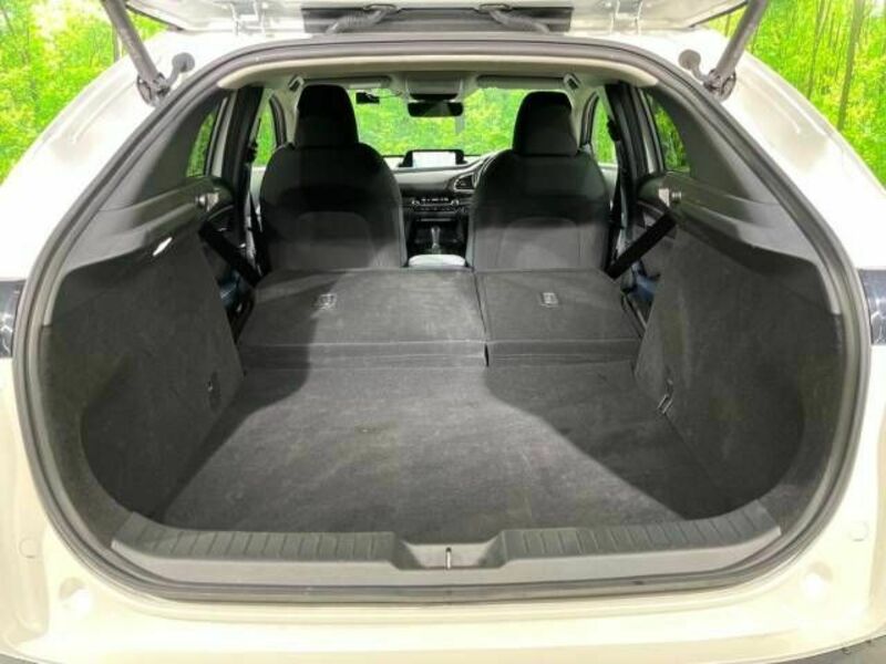 CX-30-10