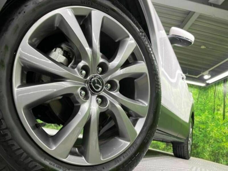 CX-30-13
