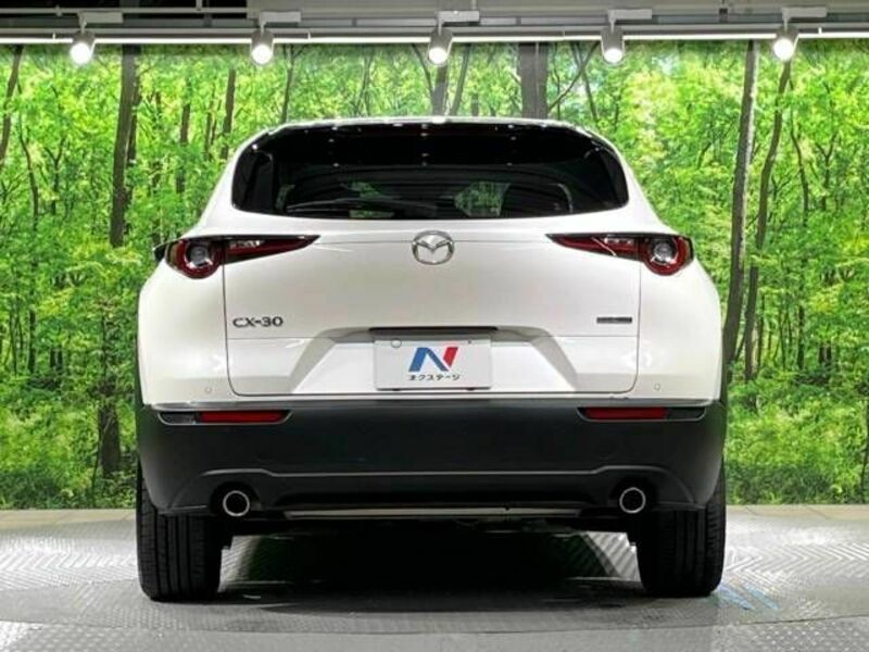 CX-30-15