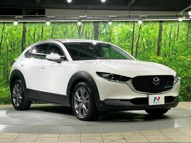 CX-30-16
