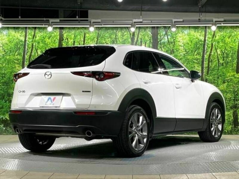CX-30-17