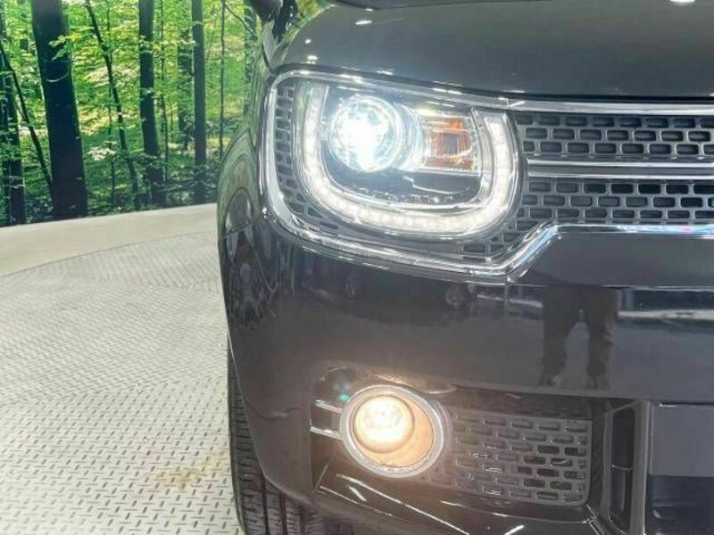 IGNIS-11