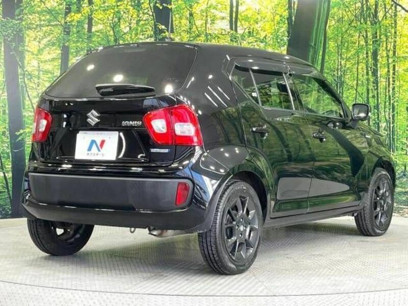 IGNIS-16