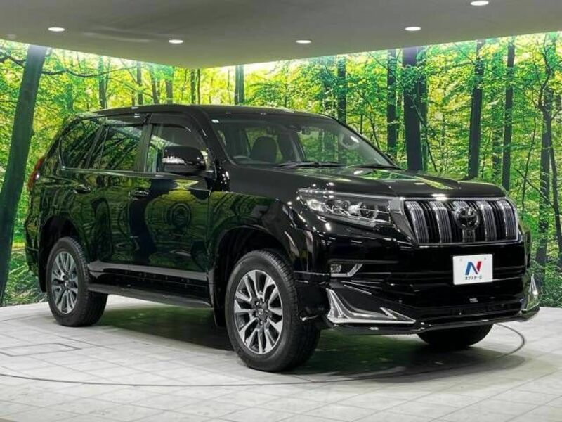 LAND CRUISER PRADO-17