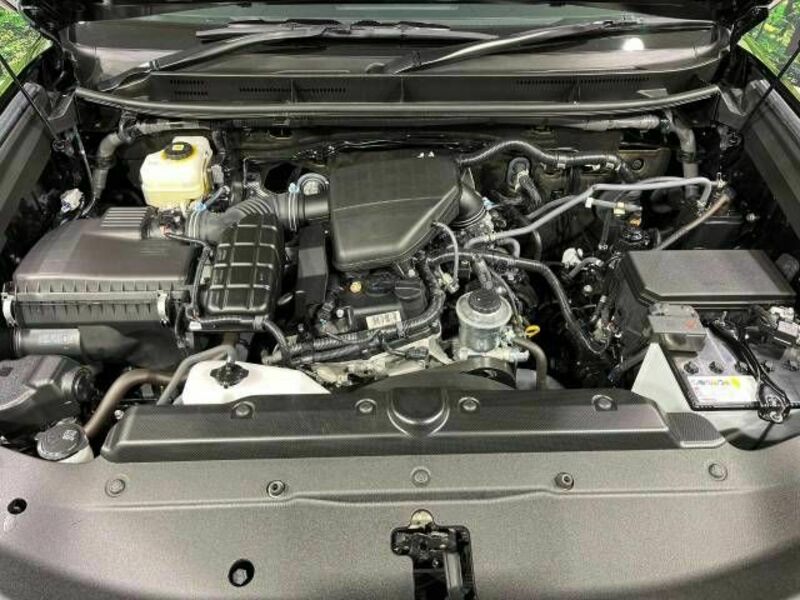LAND CRUISER PRADO-19
