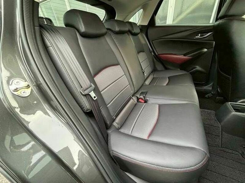 CX-3-10