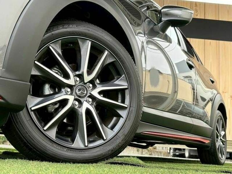 CX-3-12