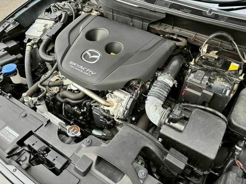 CX-3-14