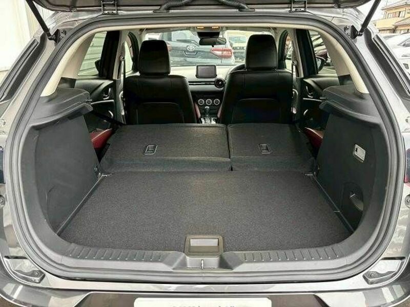 CX-3-19