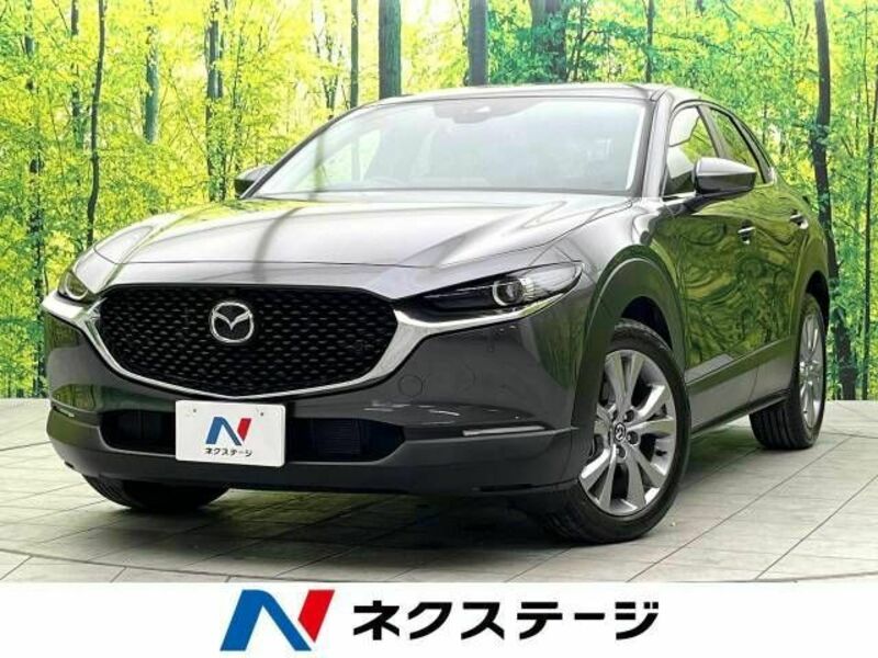 CX-30