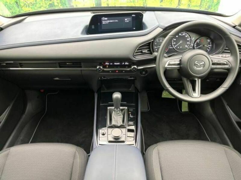 CX-30-1