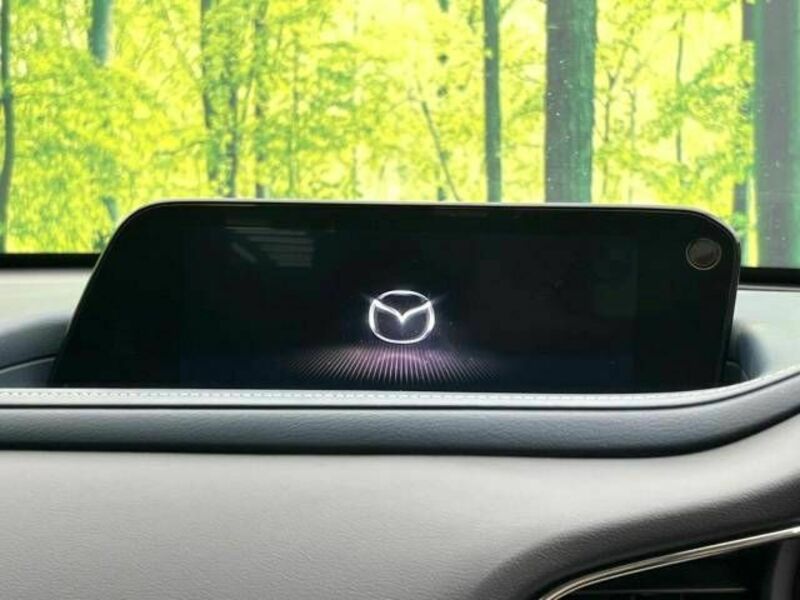 CX-30-3