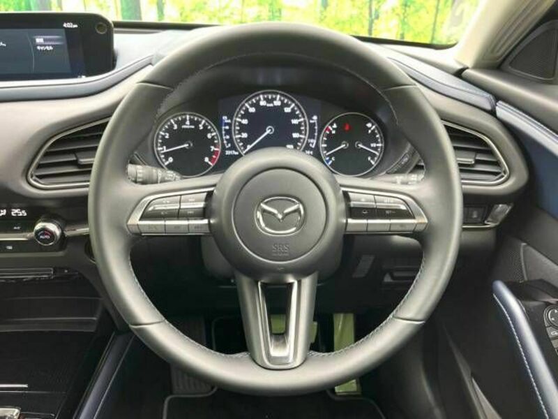 CX-30-11