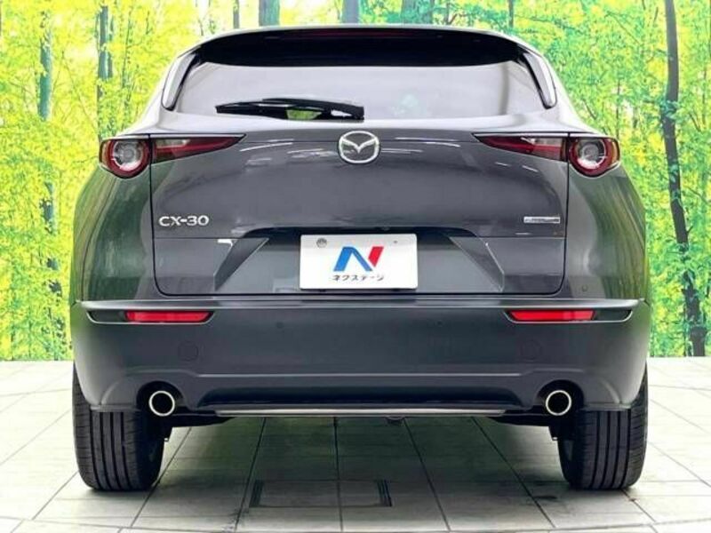 CX-30-15