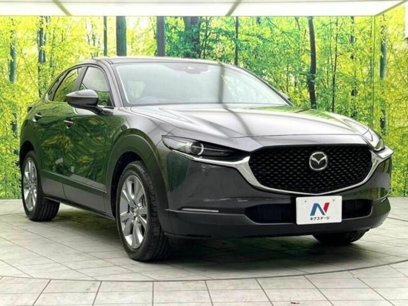 CX-30-16