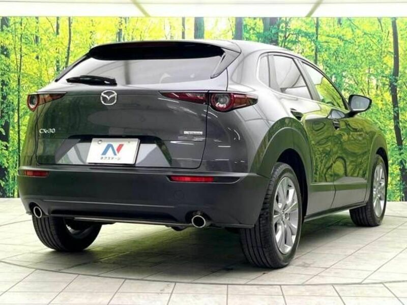 CX-30-17