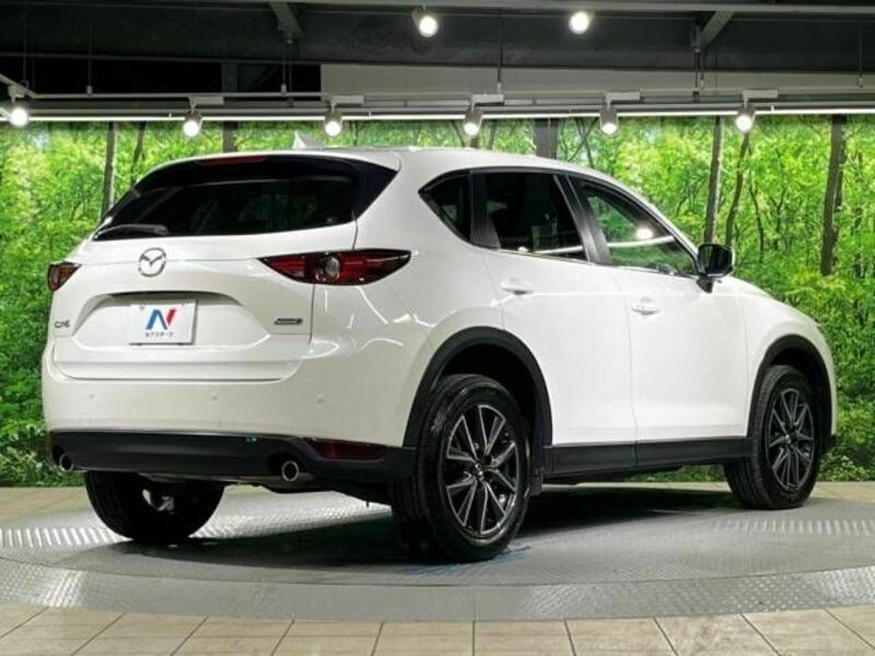CX-5-17