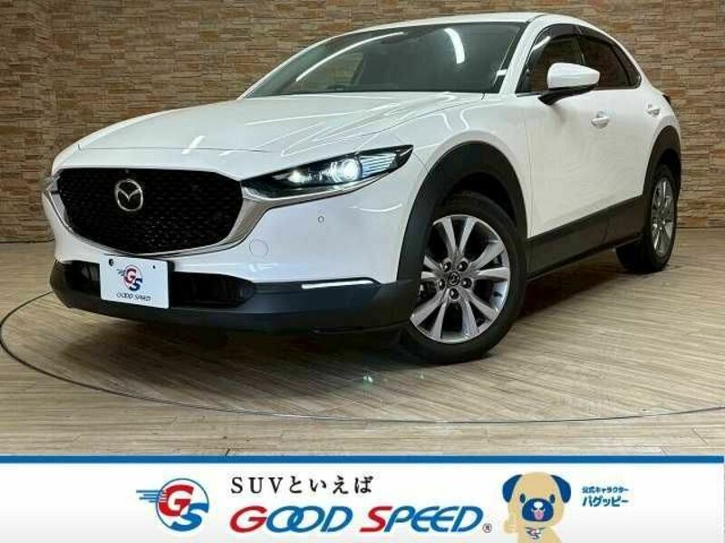 CX-30