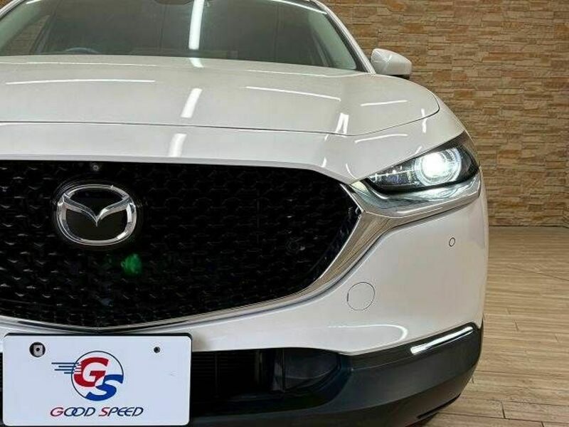 CX-30-19