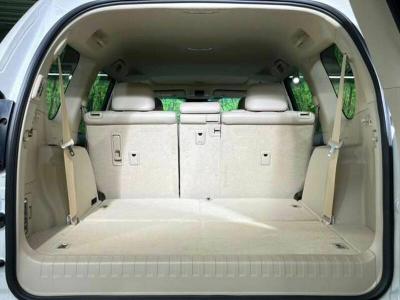 LAND CRUISER PRADO-10
