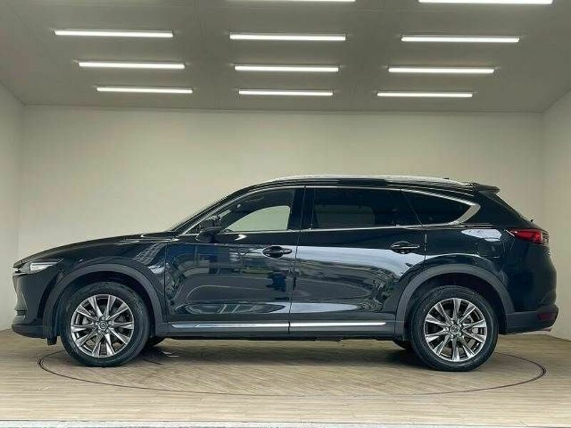 CX-8-13