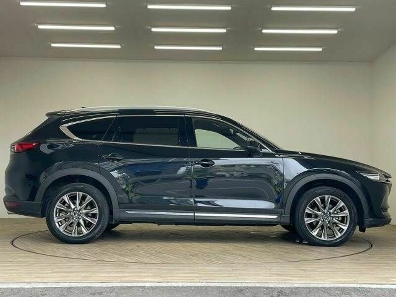 CX-8-14