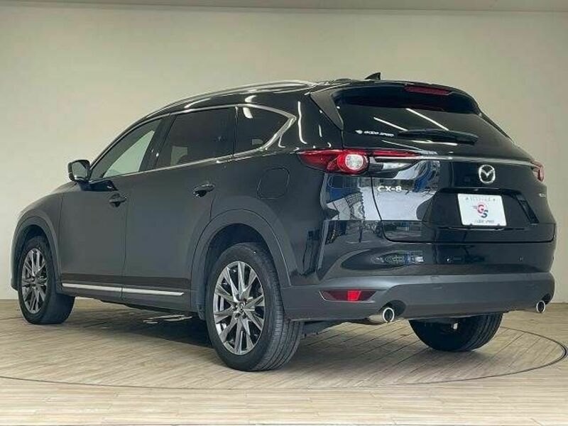 CX-8-15
