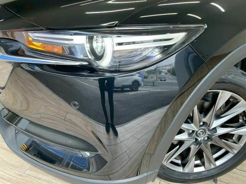 CX-8-17