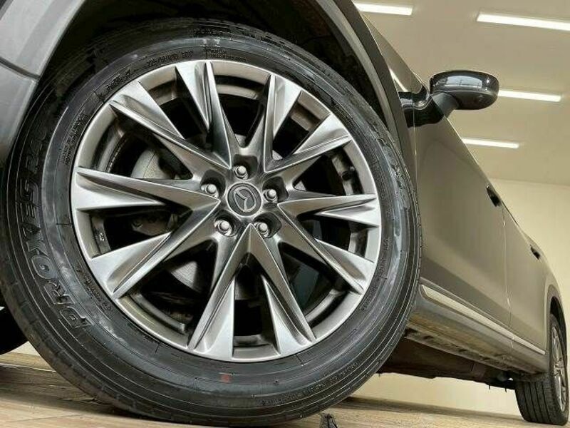 CX-8-18