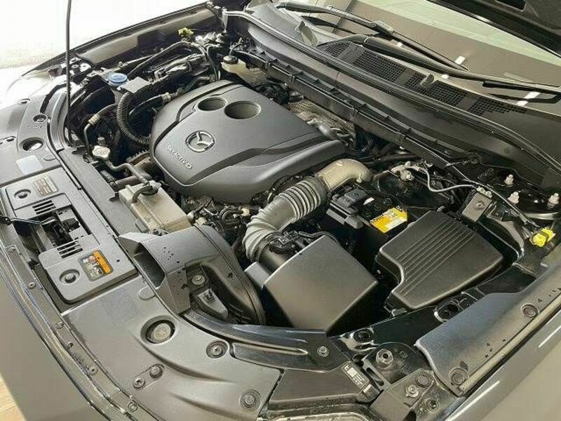 CX-8-19
