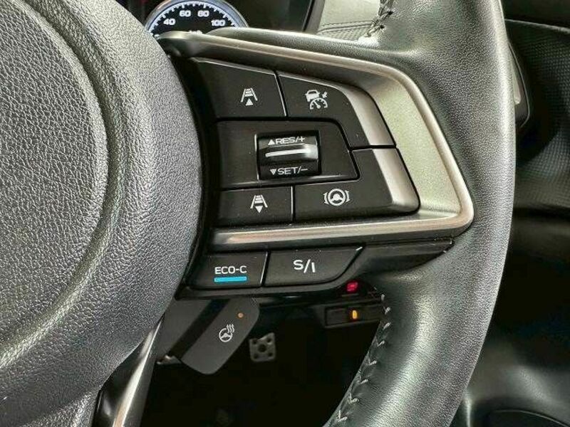 FORESTER-6