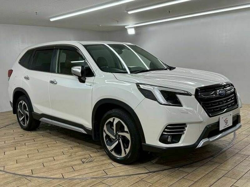 FORESTER-13
