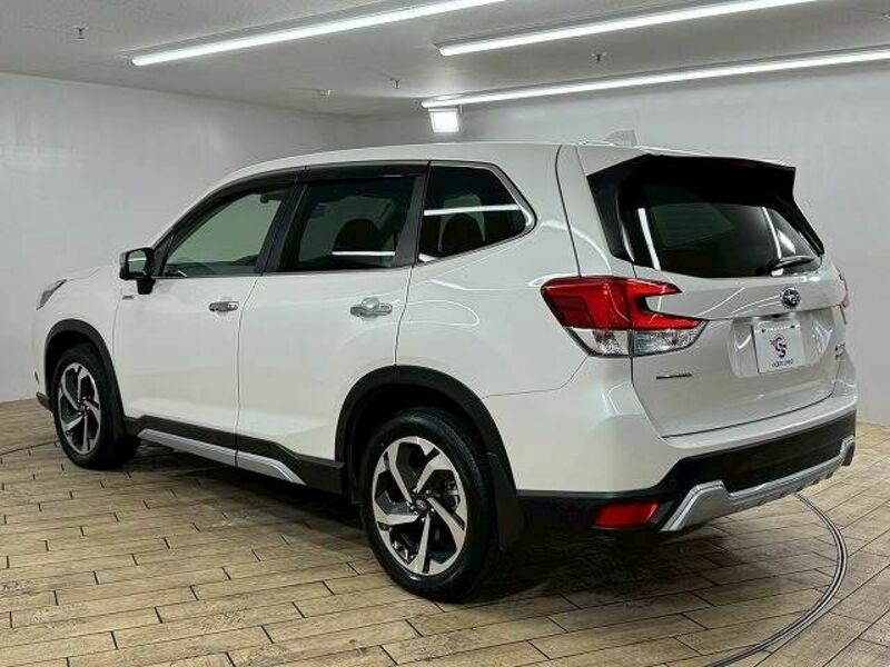 FORESTER-16