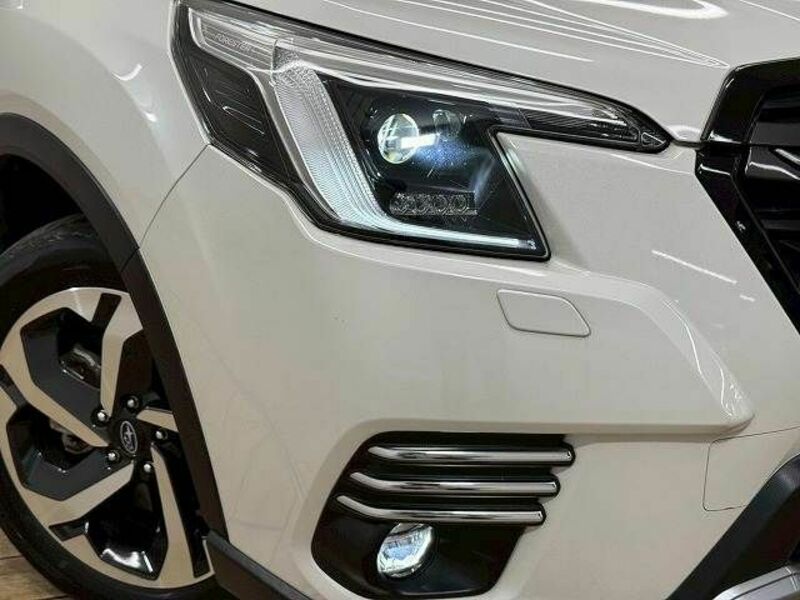 FORESTER-19