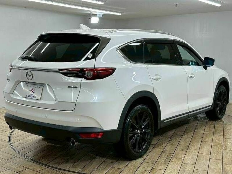CX-8-15