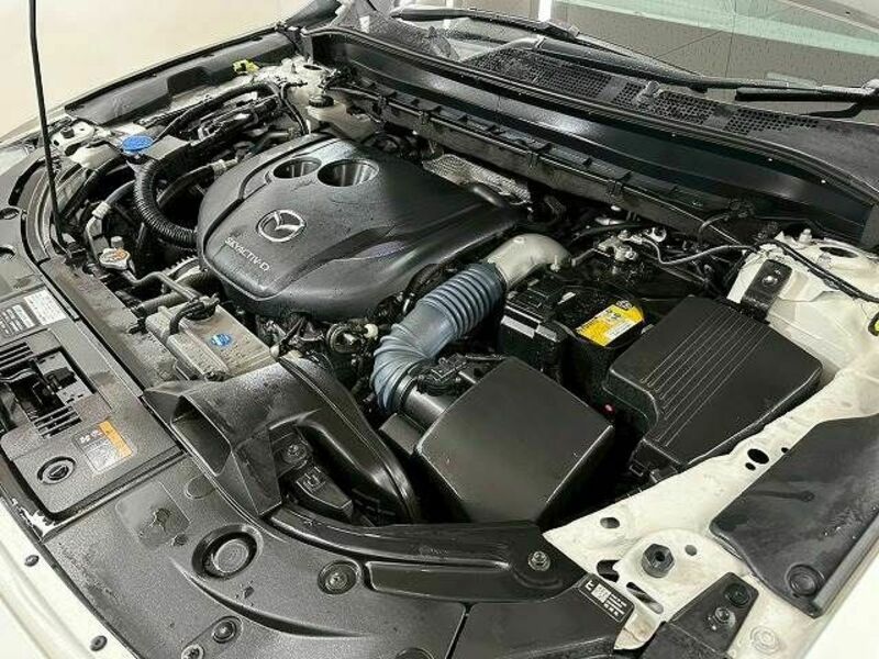 CX-8-17