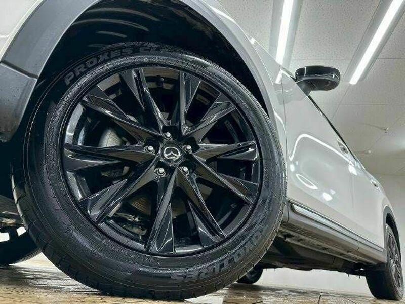 CX-8-18