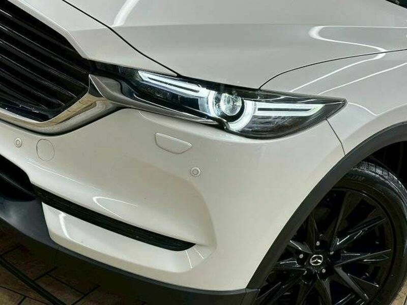 CX-8-19