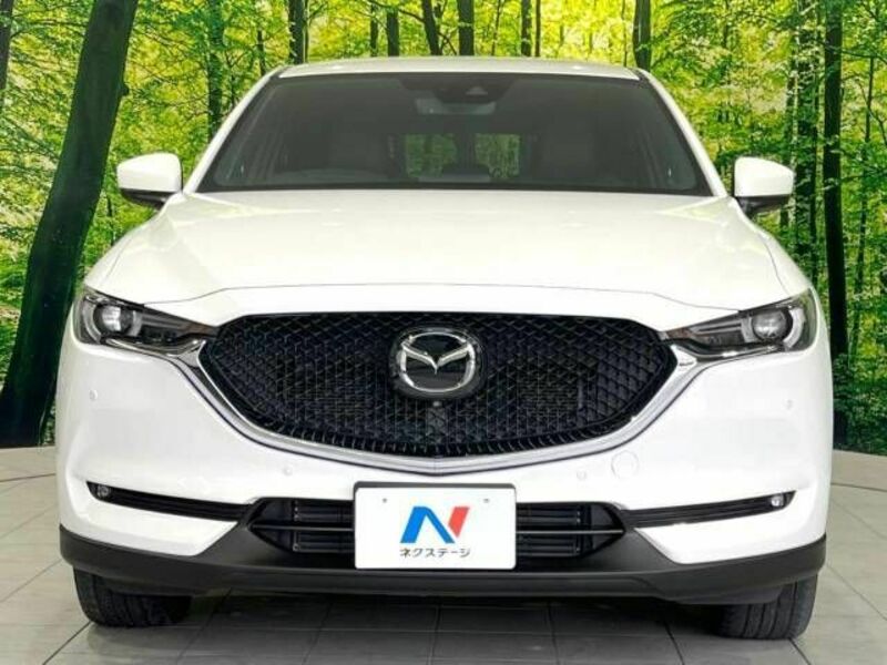 CX-5-13