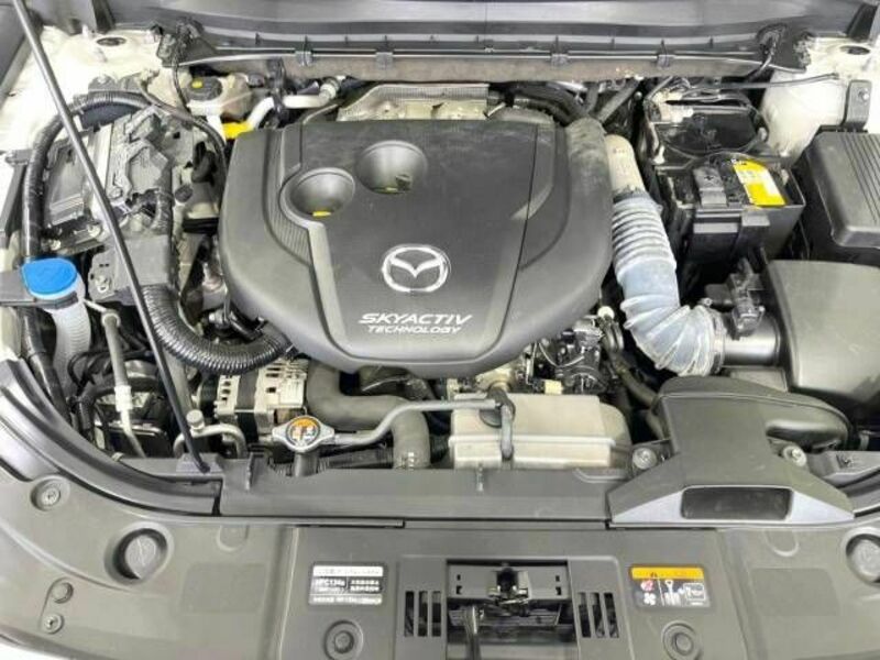 CX-5-17