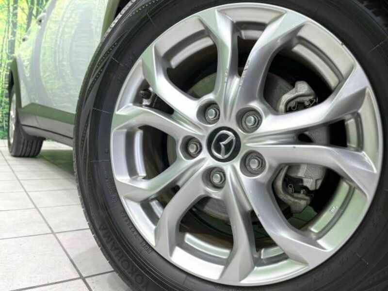 CX-3-13