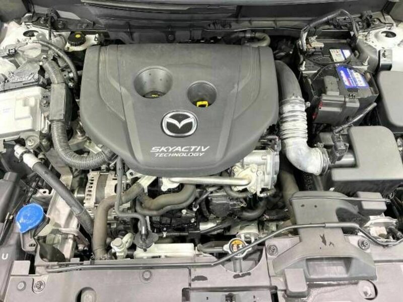 CX-3-18