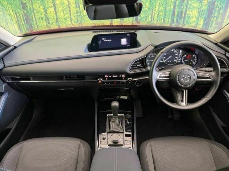 CX-30-1