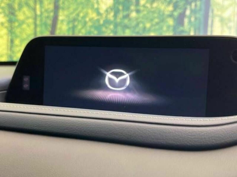 CX-30-2