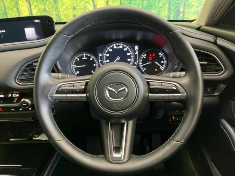 CX-30-10
